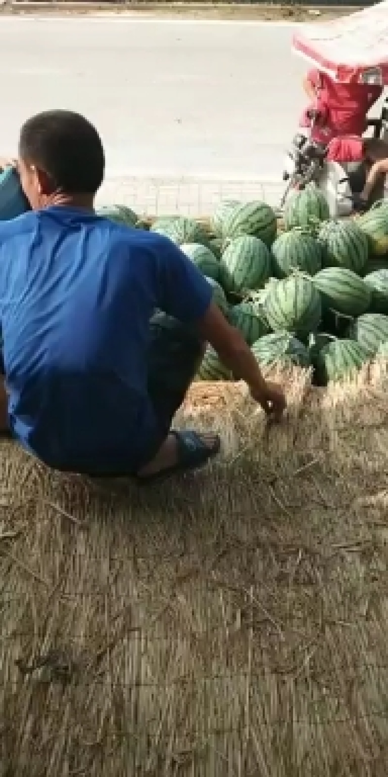 砀山县，甜王西瓜，大量上市了，货源充足，欢迎新老客户前来