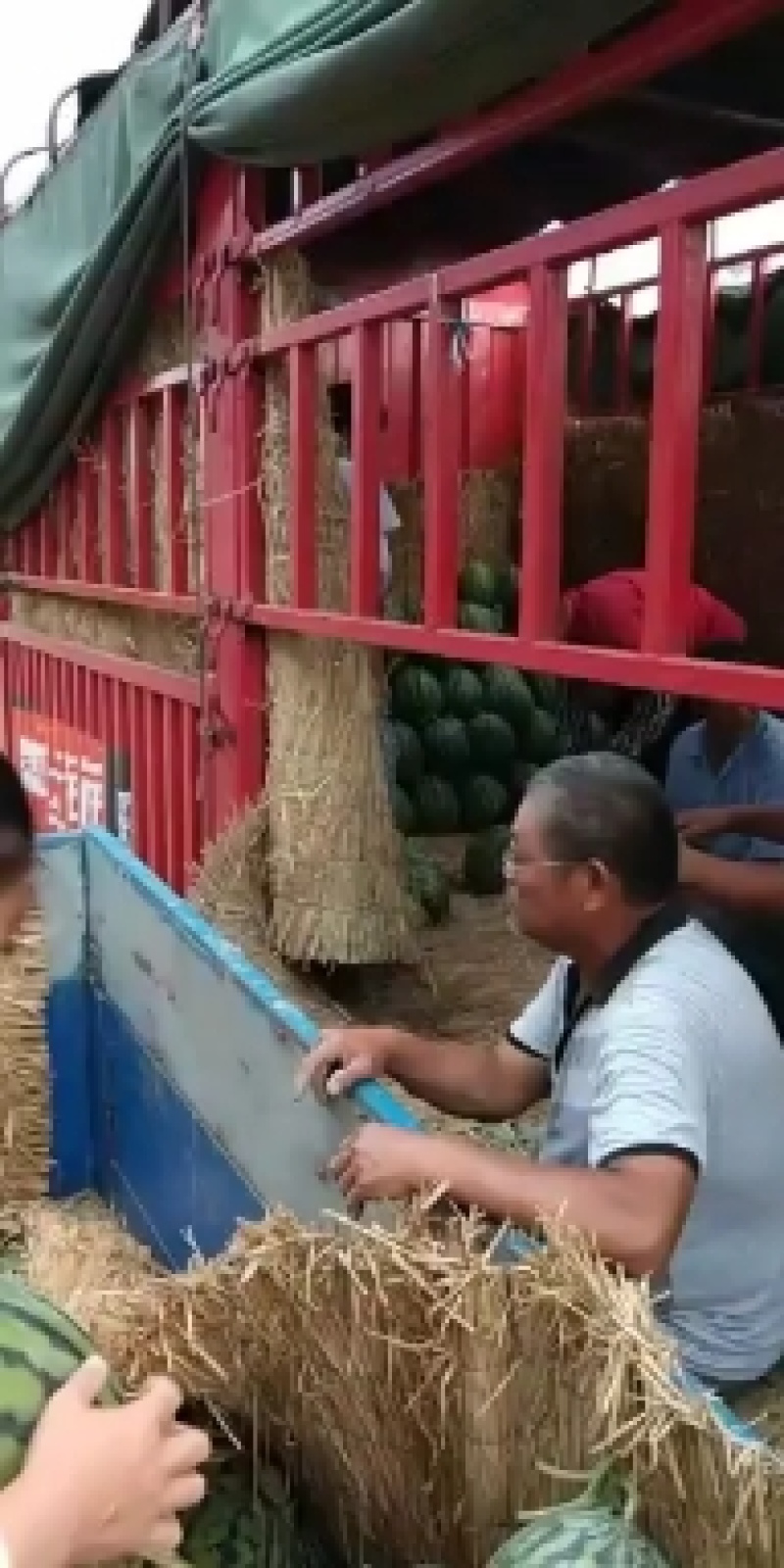 砀山县，甜王西瓜，大量上市了，货源充足，欢迎新老客户前来