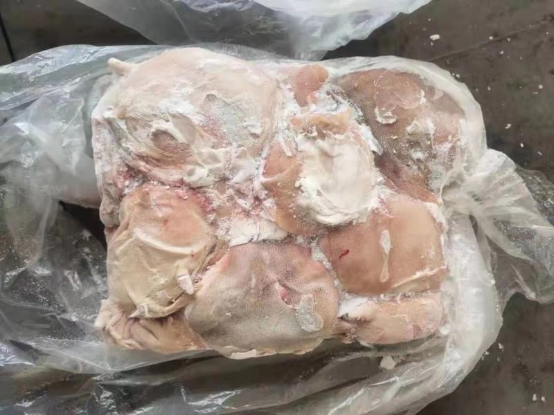 出售大块大块带皮羊奶渣
