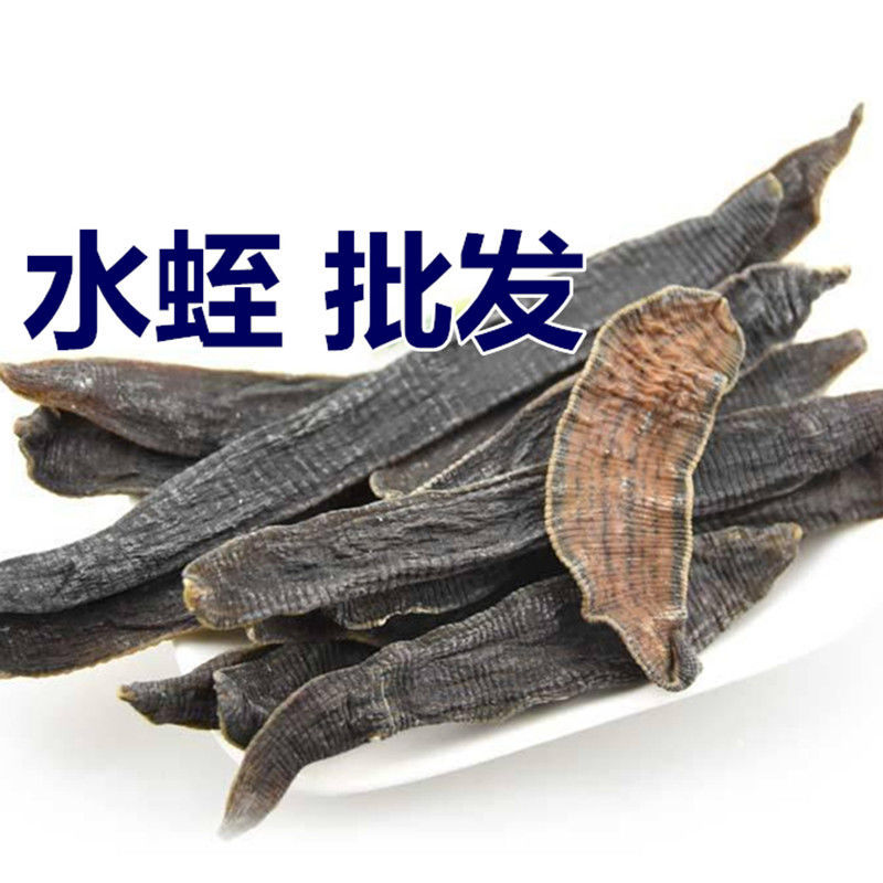 宽体水蛭淡盐水大个头水蛭产地货源质量很好