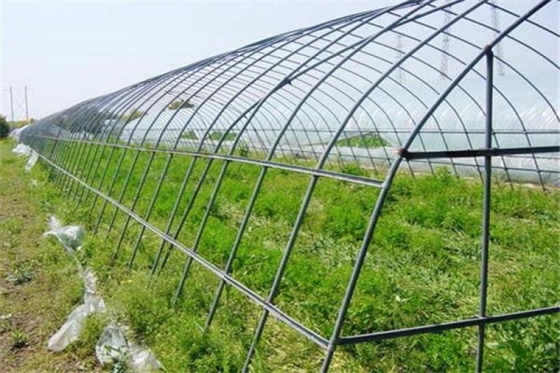 蔬菜大棚日光温室大棚水产养殖大棚镀锌大棚管