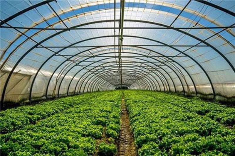 蔬菜大棚日光温室大棚水产养殖大棚镀锌大棚管
