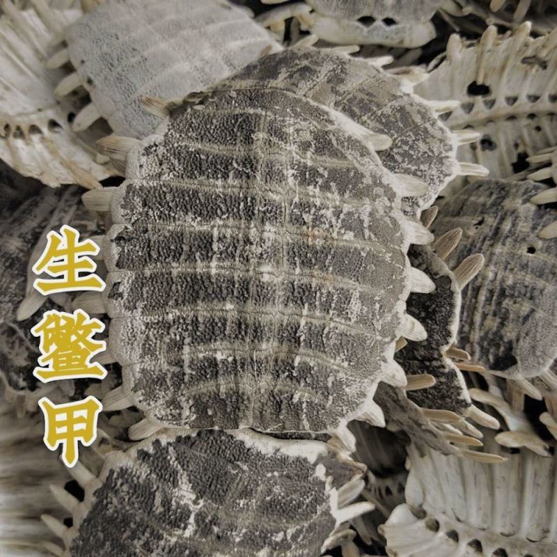 鳖甲产地山东生制都有欢迎下单对外抓药方