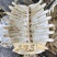 鳖甲产地山东生制都有欢迎下单对外抓药方