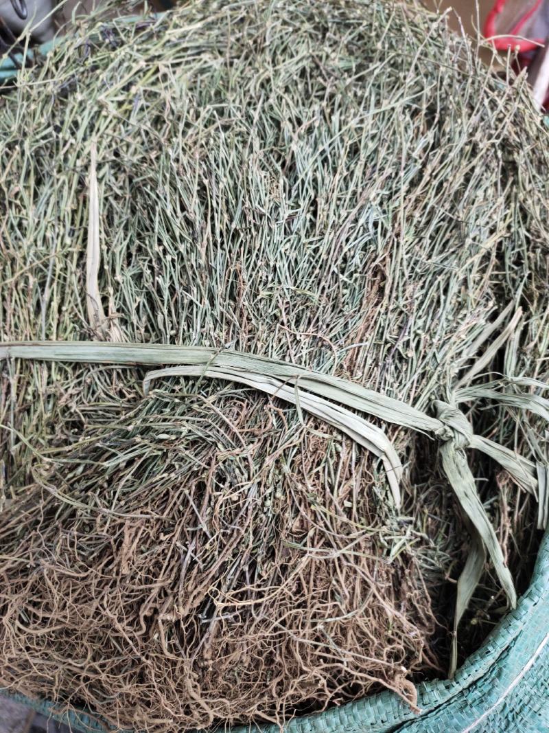 新货蛇舌草整株白花蛇舌草颜色青绿货源充足