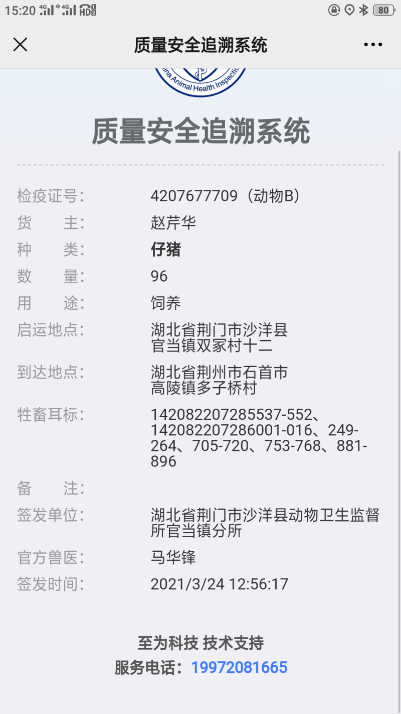 本场公司加农户合作饲养共赢，饲养封闭管理，防疫到位
