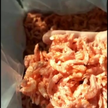 发货广州，淡干wu盐磷虾