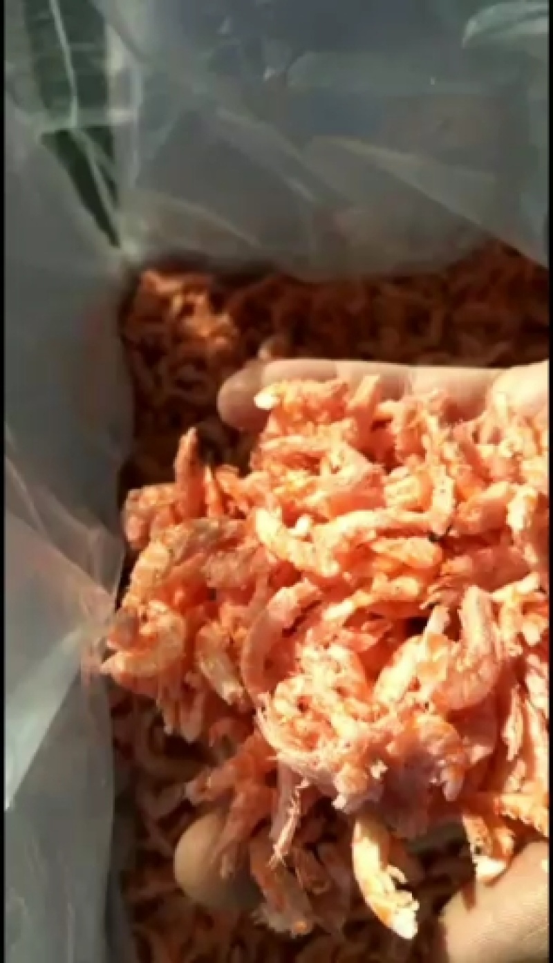 发货广州，淡干wu盐磷虾
