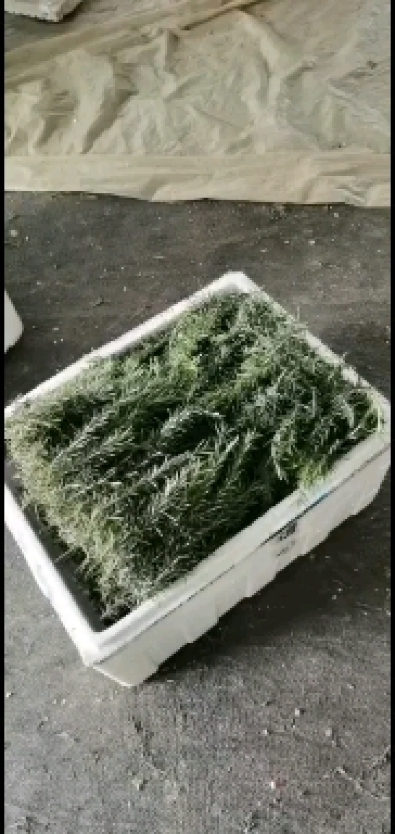 迷迭香干叶，西餐的好搭档
