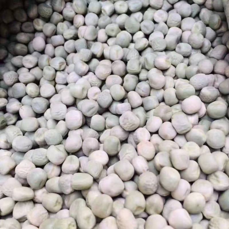 豌豆干豌豆青豌豆厂家跑江湖地摊货源批发