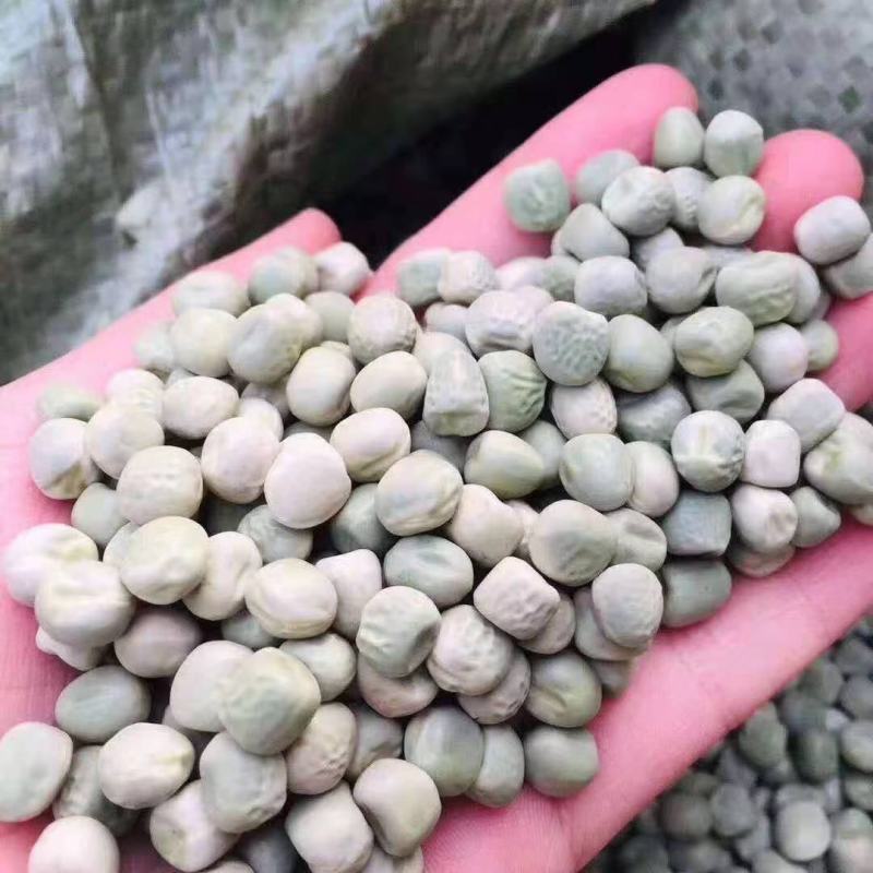 豌豆干豌豆青豌豆厂家跑江湖地摊货源批发