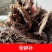 骨碎补毛姜烫骨碎补产地直发代抓各种药方