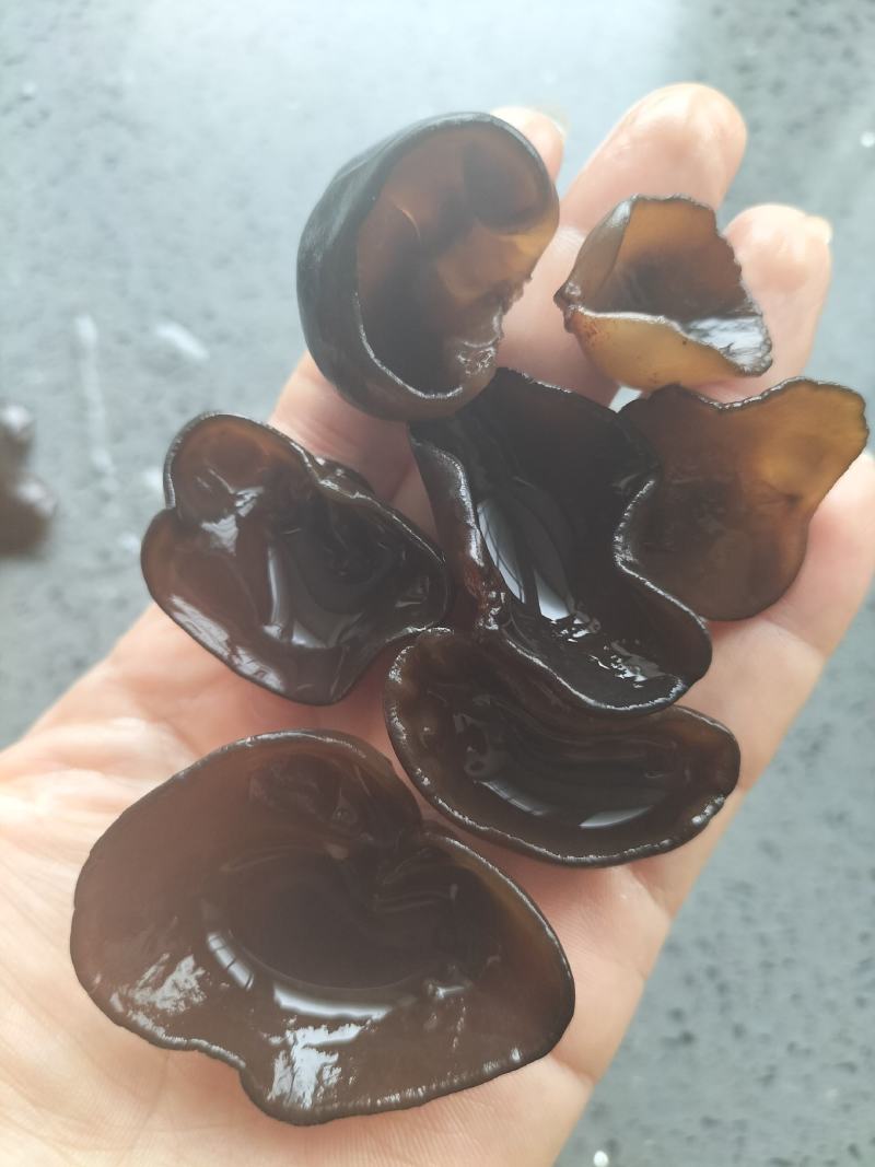 黑木耳，特级，东北木段秋木耳