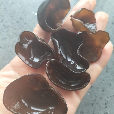 黑木耳，特级，东北木段秋木耳