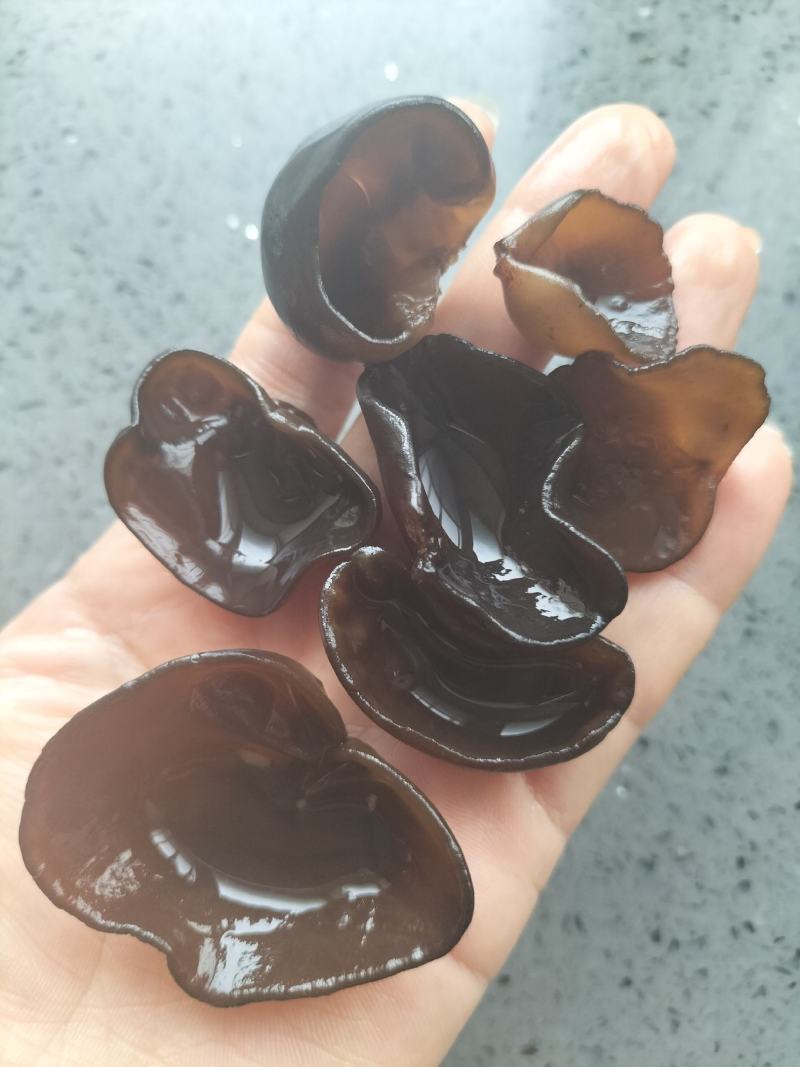 黑木耳，特级，东北木段秋木耳