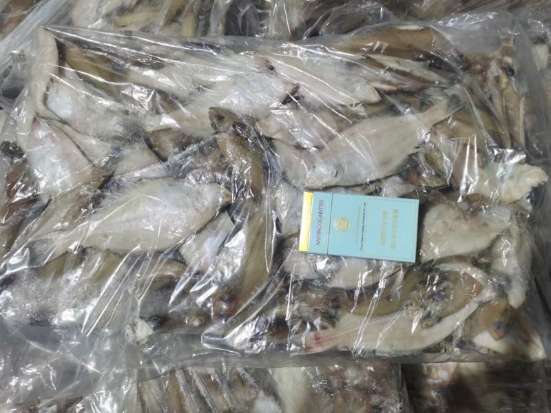 石岛小长脖价格超低量大便宜