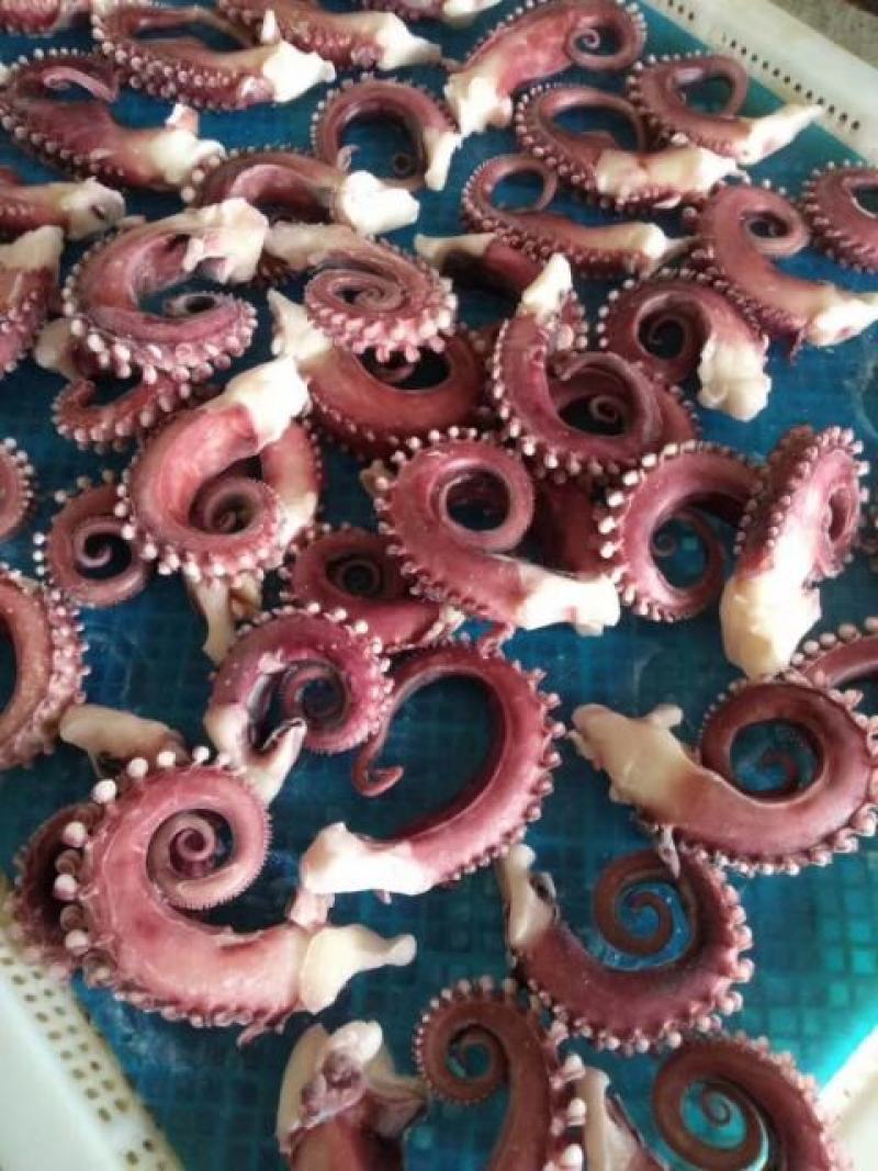 各类鱿鱼产品，可贴牌，价格超低