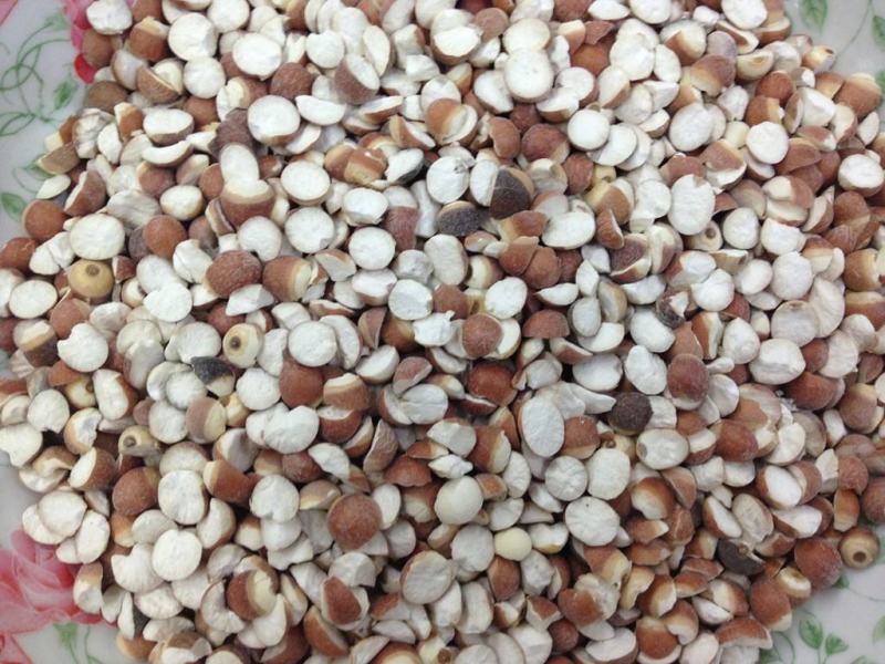 芡实四六瓣芡实过筛净货产地广东对外抓药方
