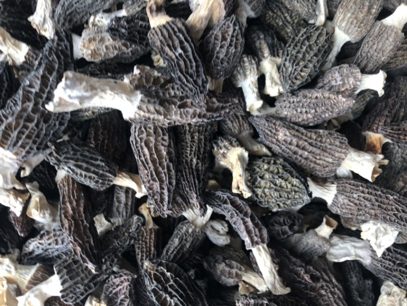 羊肚菌干货精品羊肚菌价格实惠250克500克