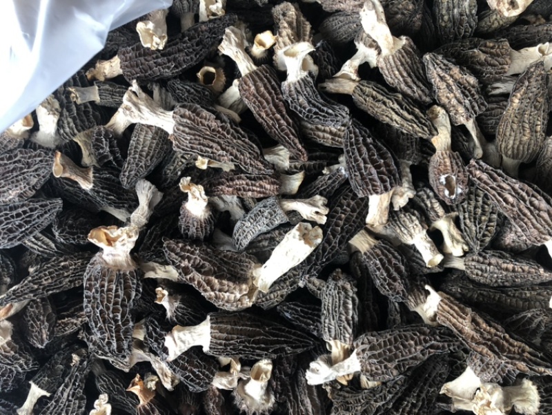 羊肚菌干货精品羊肚菌价格实惠250克500克
