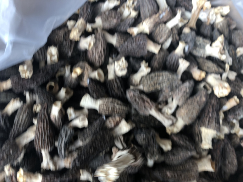 羊肚菌干货精品羊肚菌价格实惠250克500克