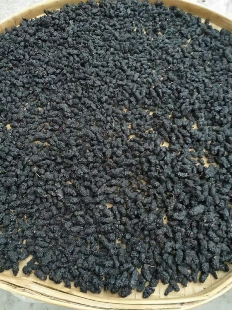 桑椹子桑葚免洗野生天然无沙黑桑葚干桑葚子黑桑甚茶桑葚果干