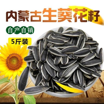 【一件代发】内蒙古生瓜子新货新鲜葵花籽原味瓜子颗粒熟瓜子