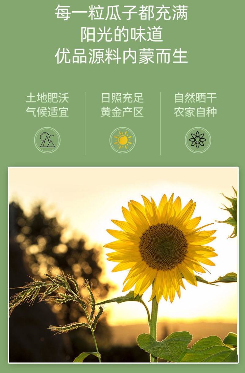 【一件代发】内蒙古生瓜子新货新鲜葵花籽原味瓜子颗粒熟瓜子