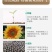 【一件代发】内蒙古生瓜子新货新鲜葵花籽原味瓜子颗粒熟瓜子