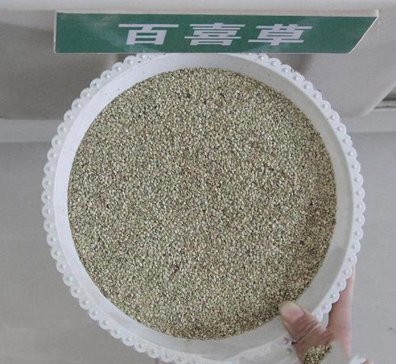 百喜草种子道路护坡水土保持牧草草籽公路堤坝绿化