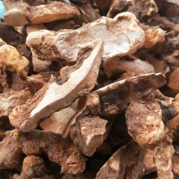 广西野生土茯苓，无硫，粉质，甘甜