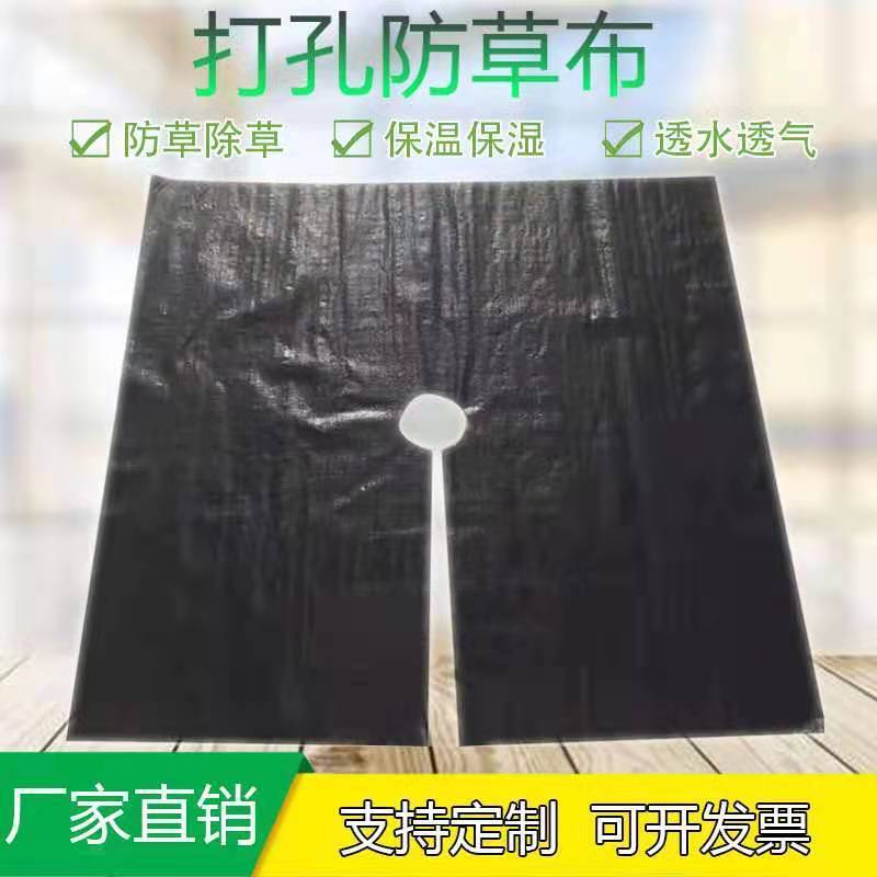 打孔切片防草布保湿透气地步抗暴晒防老化厂