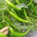 辣椒！2号8号螺线微辣，条型好！质量保证，价格优惠