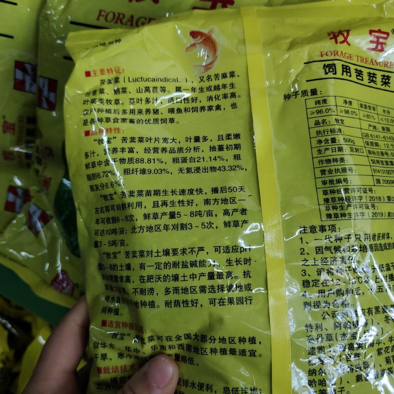 苦麦菜，苦麦菜，苦卖菜，苦卖菜，苦卖菜，多年生苦麦菜种子