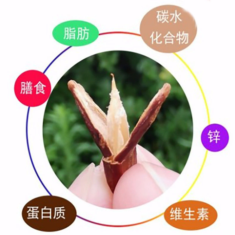 【超值包邮】年货生红瓜子原味颗粒水煮炒熟西瓜子休闲坚果