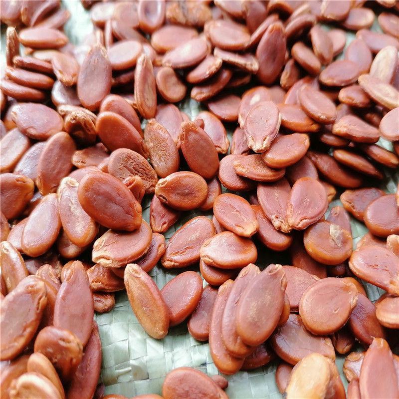 【超值包邮】年货生红瓜子原味颗粒水煮炒熟西瓜子休闲坚果