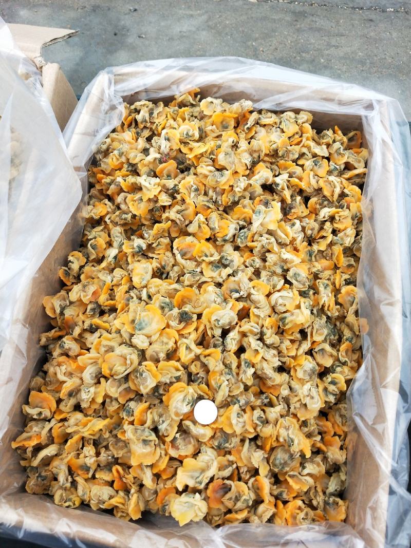 毛蛤干毛蚬子肉干7.8成干无沙1件20斤饭店专供一手货源