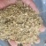 山东槐米单季槐米好统货含量高山东临沂产地直销新货
