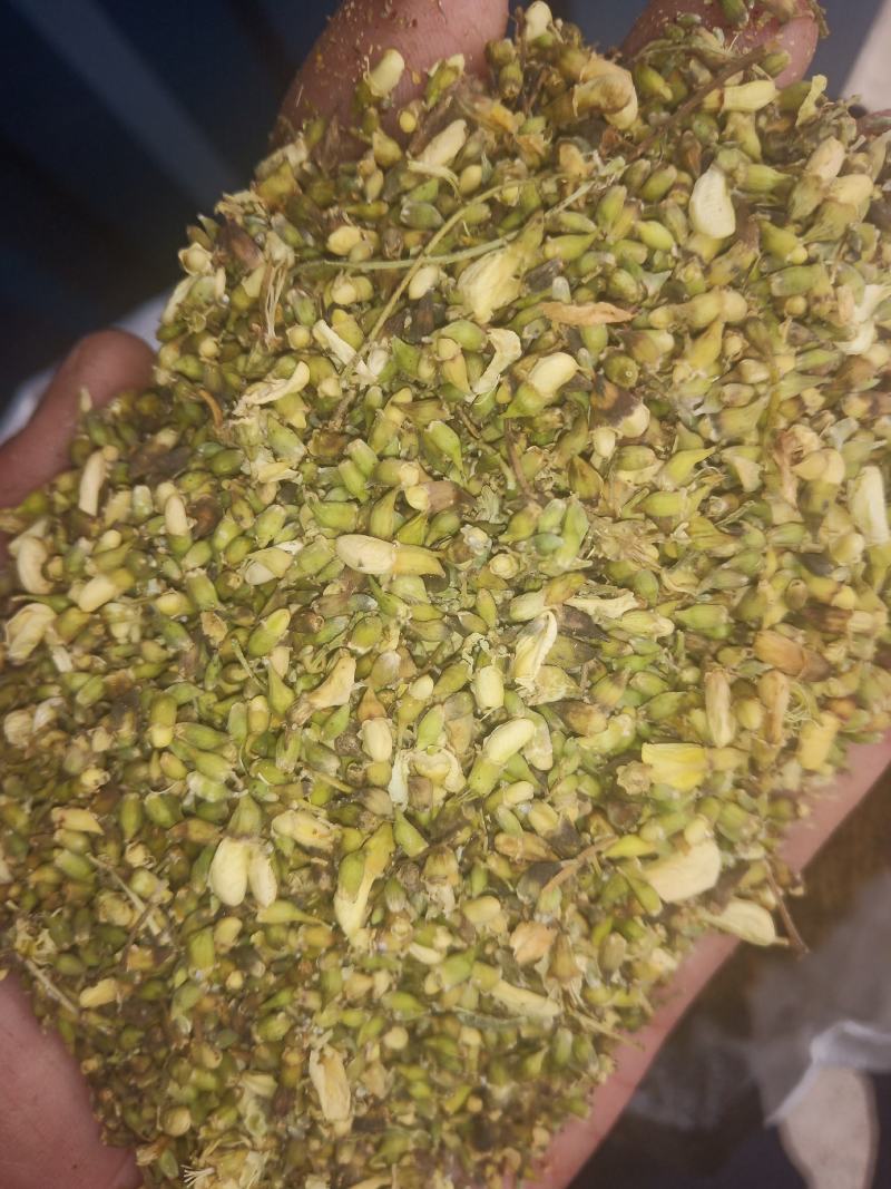山东槐米单季槐米好统货含量高山东临沂产地直销新货