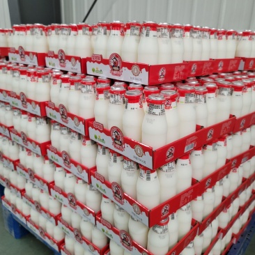 金丝猕®水牛酸奶饮品，新品上市，诚招经销商