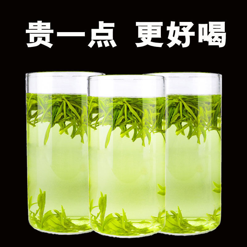2023新茶霍山黄芽黄茶叶雨前特级安徽高山春茶超值包邮