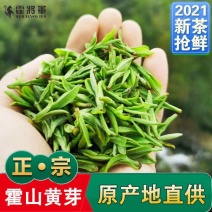 2023新茶霍山黄芽黄茶叶雨前特级安徽高山春茶超值包邮