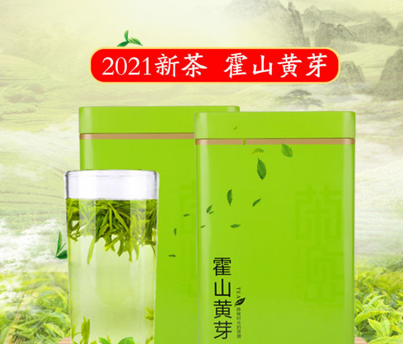 2023新茶霍山黄芽黄茶叶雨前特级安徽高山春茶超值包邮