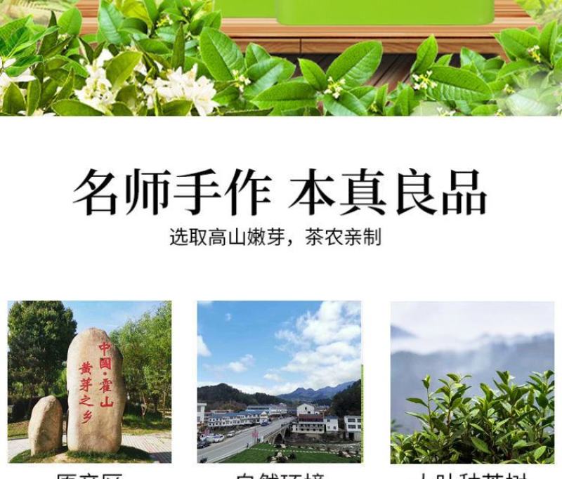 2023新茶霍山黄芽黄茶叶雨前特级安徽高山春茶超值包邮
