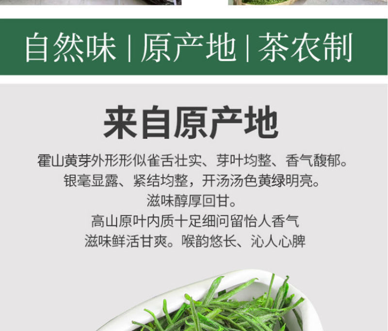 2023新茶霍山黄芽黄茶叶雨前特级安徽高山春茶超值包邮