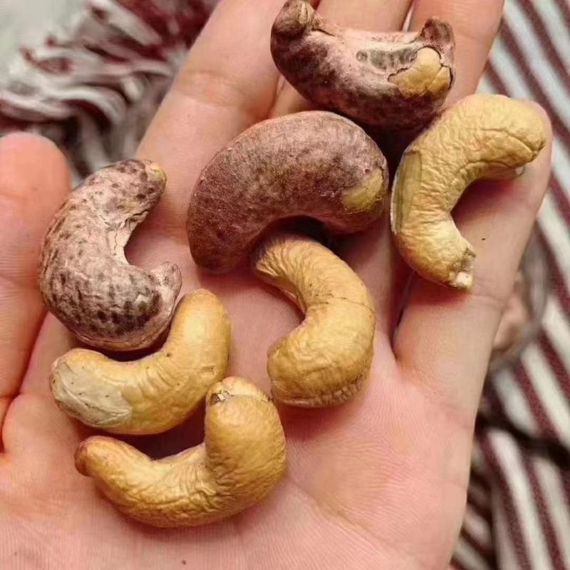 越南腰果优选精品大腰果进口腰果虎皮腰果口岸直供货腰果批发