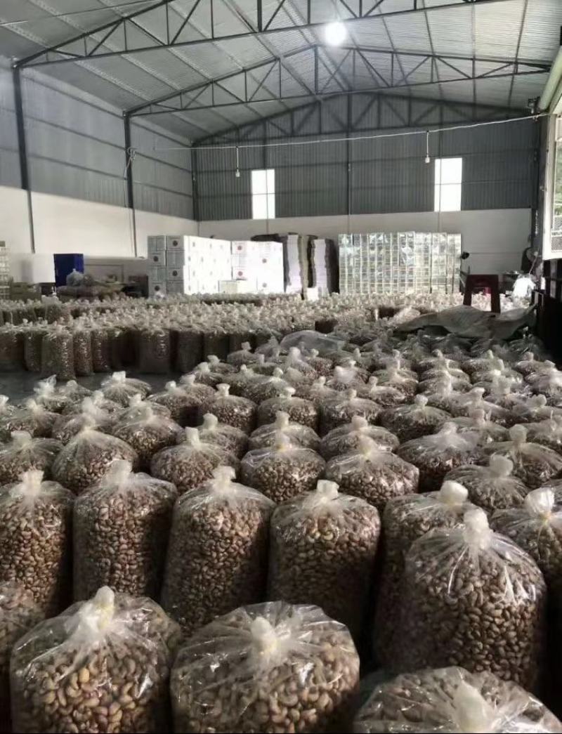 越南腰果优选精品大腰果进口腰果虎皮腰果口岸直供货腰果批发