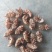 山东临沂产地知了壳蝉蜕水洗货精品，饮片厂专用