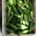 大量批发黄瓜有需要的联系，精品统货次品样样俱全