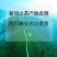 2023新茶早春茶蒙顶黄芽黄茶茶叶四川雅安蒙顶山茶明前
